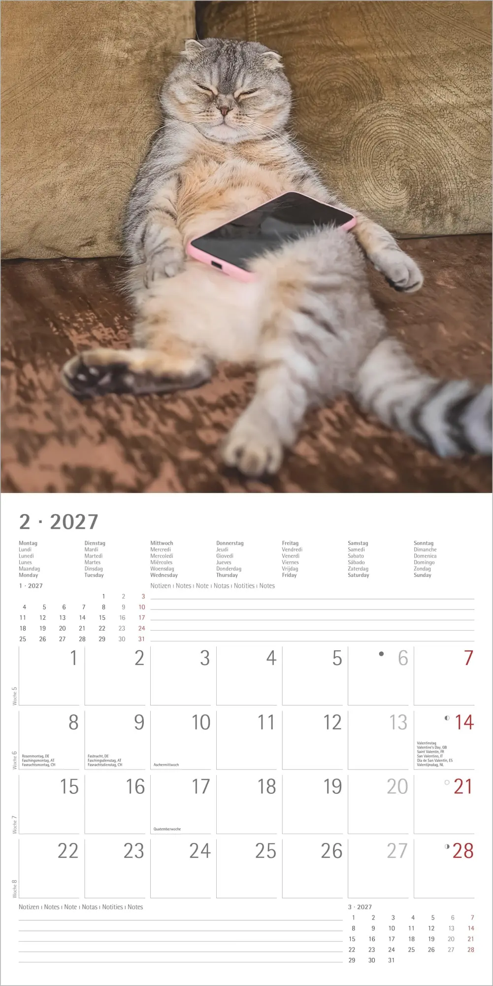 Bild: 4069095011977 | Funny Cats 2027 | Neumann Verlage GmbH &amp; Co KG | Kalender | 14 S.