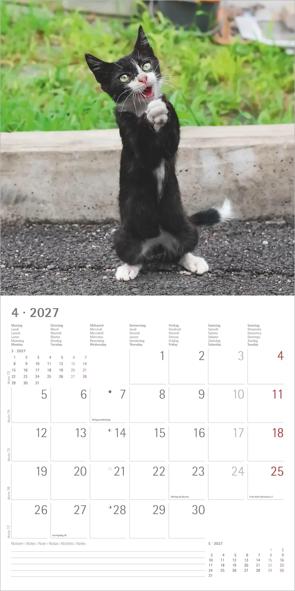 Bild: 4069095011977 | Funny Cats 2027 | Neumann Verlage GmbH &amp; Co KG | Kalender | 14 S.