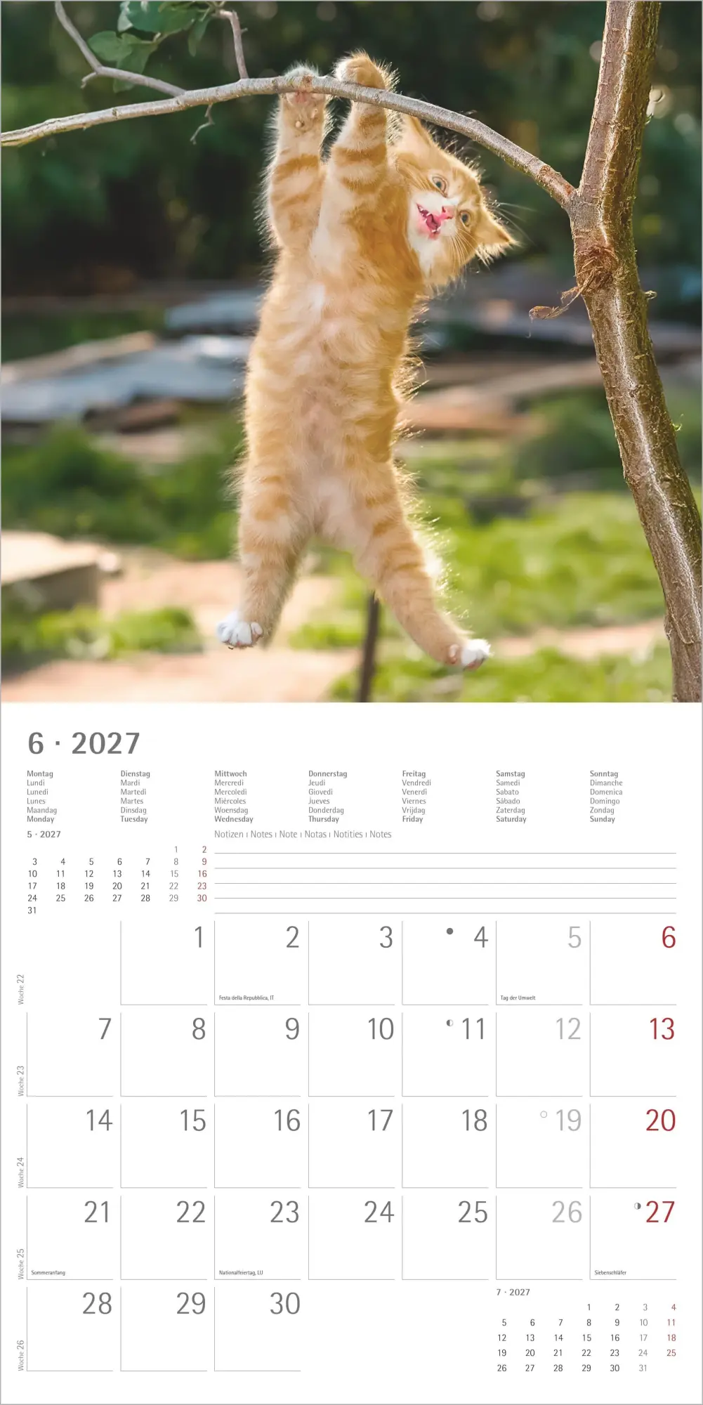 Bild: 4069095011977 | Funny Cats 2027 | Neumann Verlage GmbH &amp; Co KG | Kalender | 14 S.