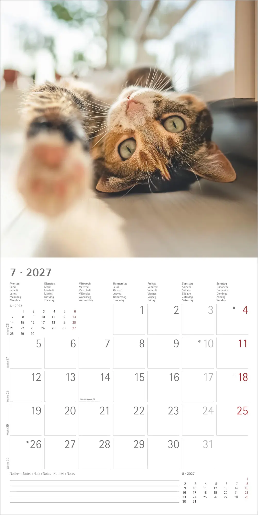 Bild: 4069095011977 | Funny Cats 2027 | Neumann Verlage GmbH &amp; Co KG | Kalender | 14 S.