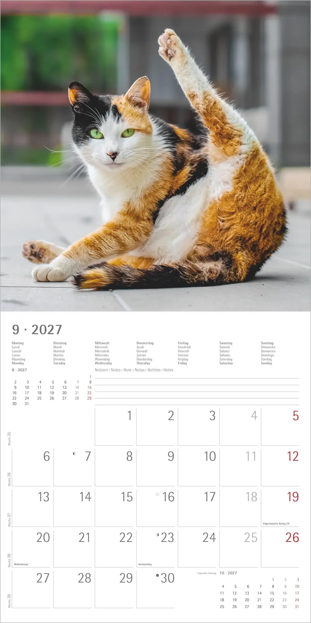 Bild: 4069095011977 | Funny Cats 2027 | Neumann Verlage GmbH &amp; Co KG | Kalender | 14 S.