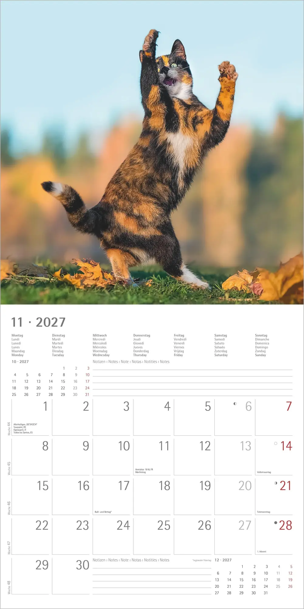 Bild: 4069095011977 | Funny Cats 2027 | Neumann Verlage GmbH &amp; Co KG | Kalender | 14 S.