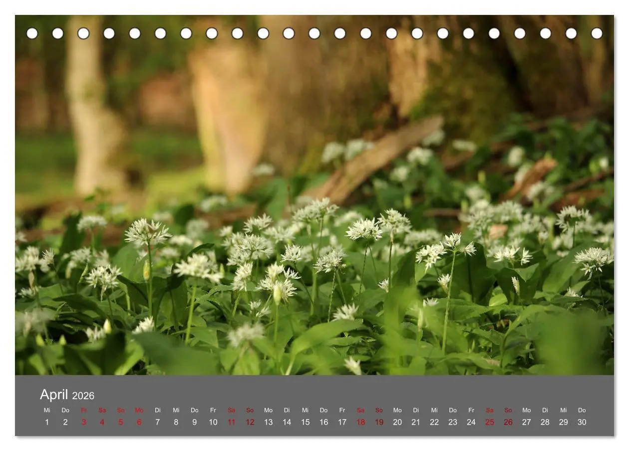 Bild: 9783457901977 | Wahner Heide - Aussichten und Begegnungen (Tischkalender 2026 DIN...
