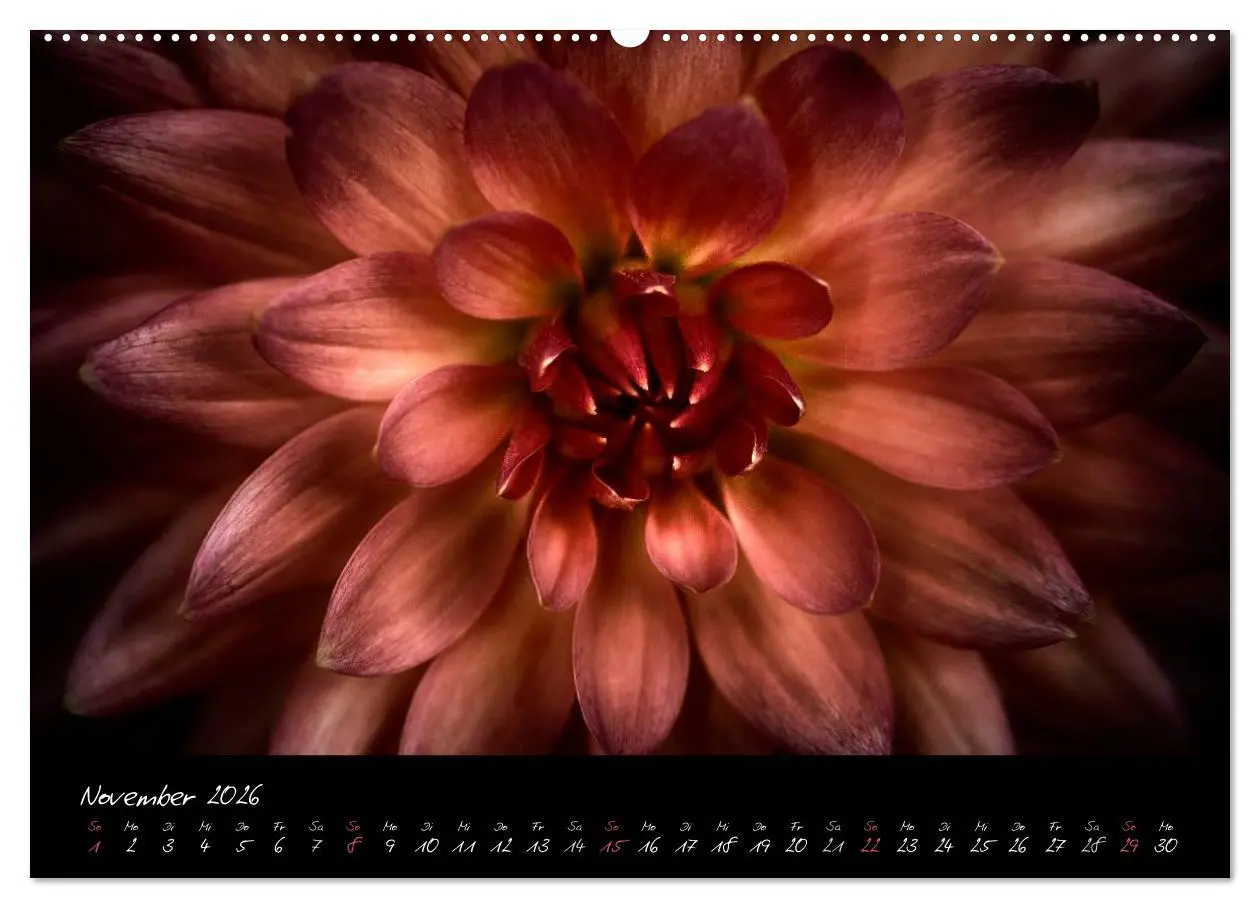 Bild: 9783516091977 | Serenade - Visuelle Musik der Blumen (hochwertiger Premium...