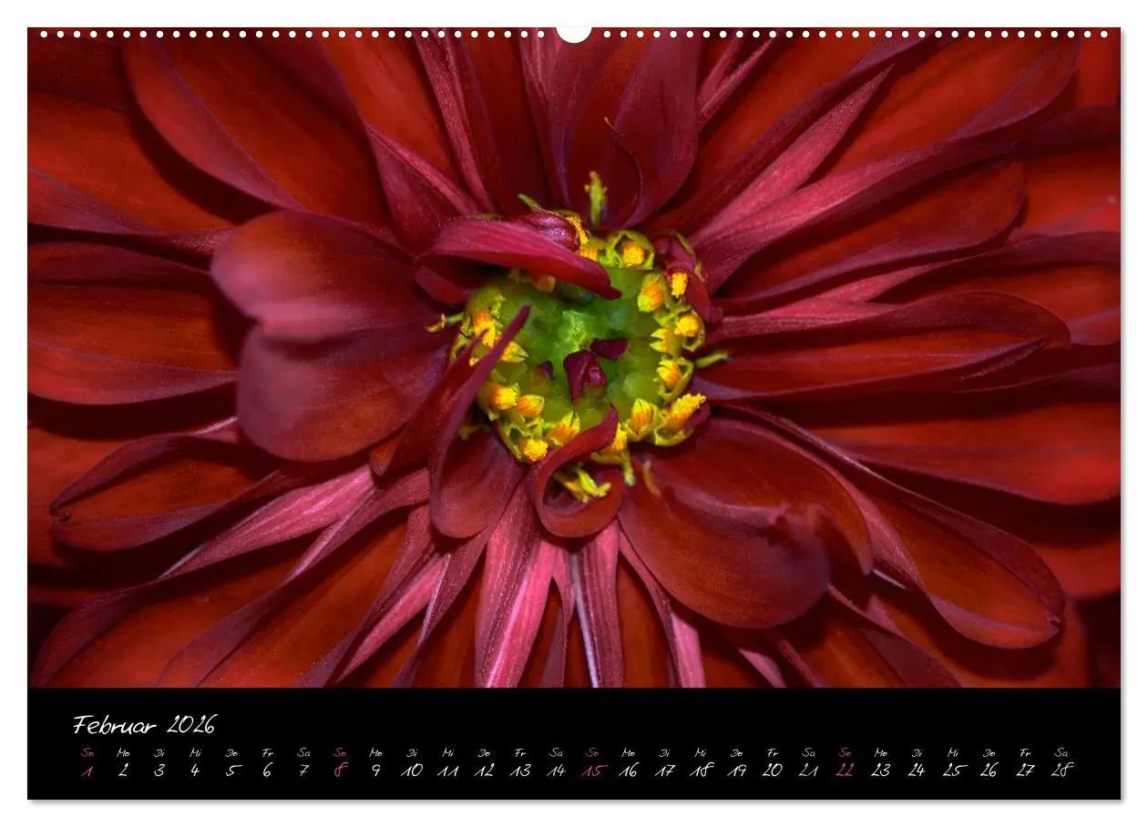 Bild: 9783516091977 | Serenade - Visuelle Musik der Blumen (hochwertiger Premium...