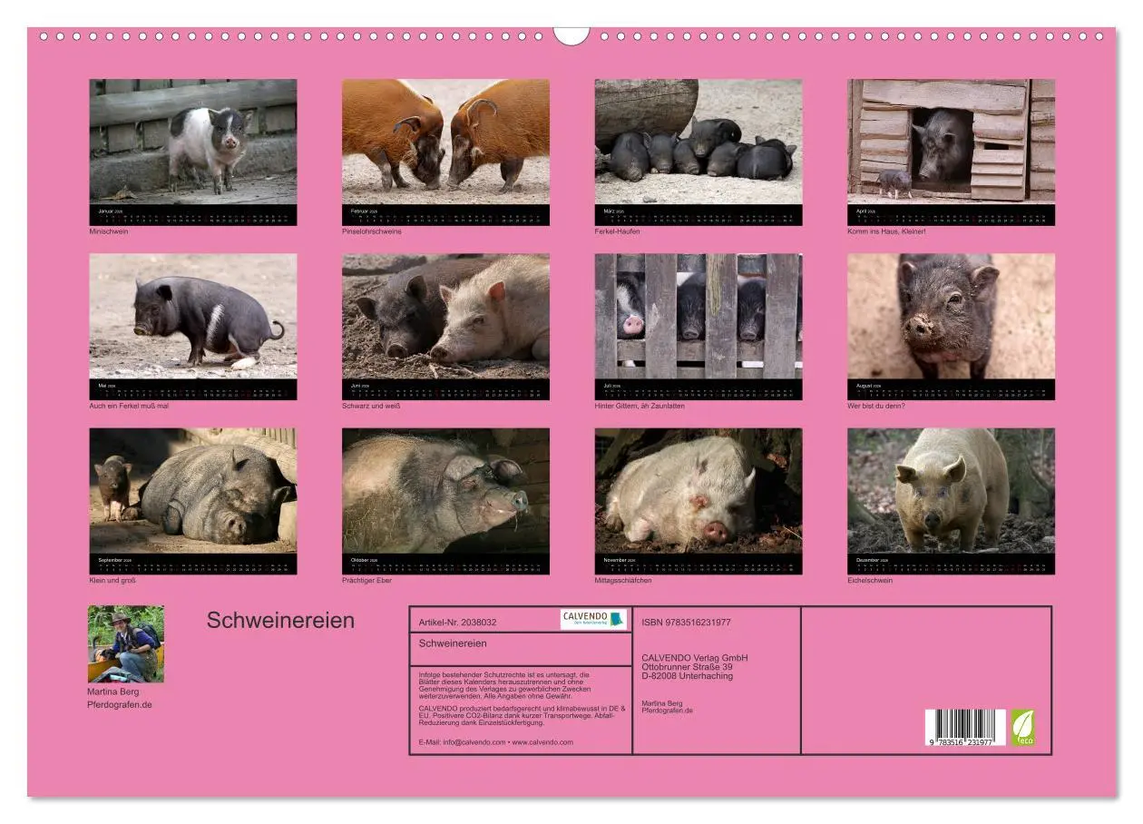 Bild: 9783516231977 | Schweinereien (Wandkalender 2026 DIN A2 quer), CALVENDO Monatskalender