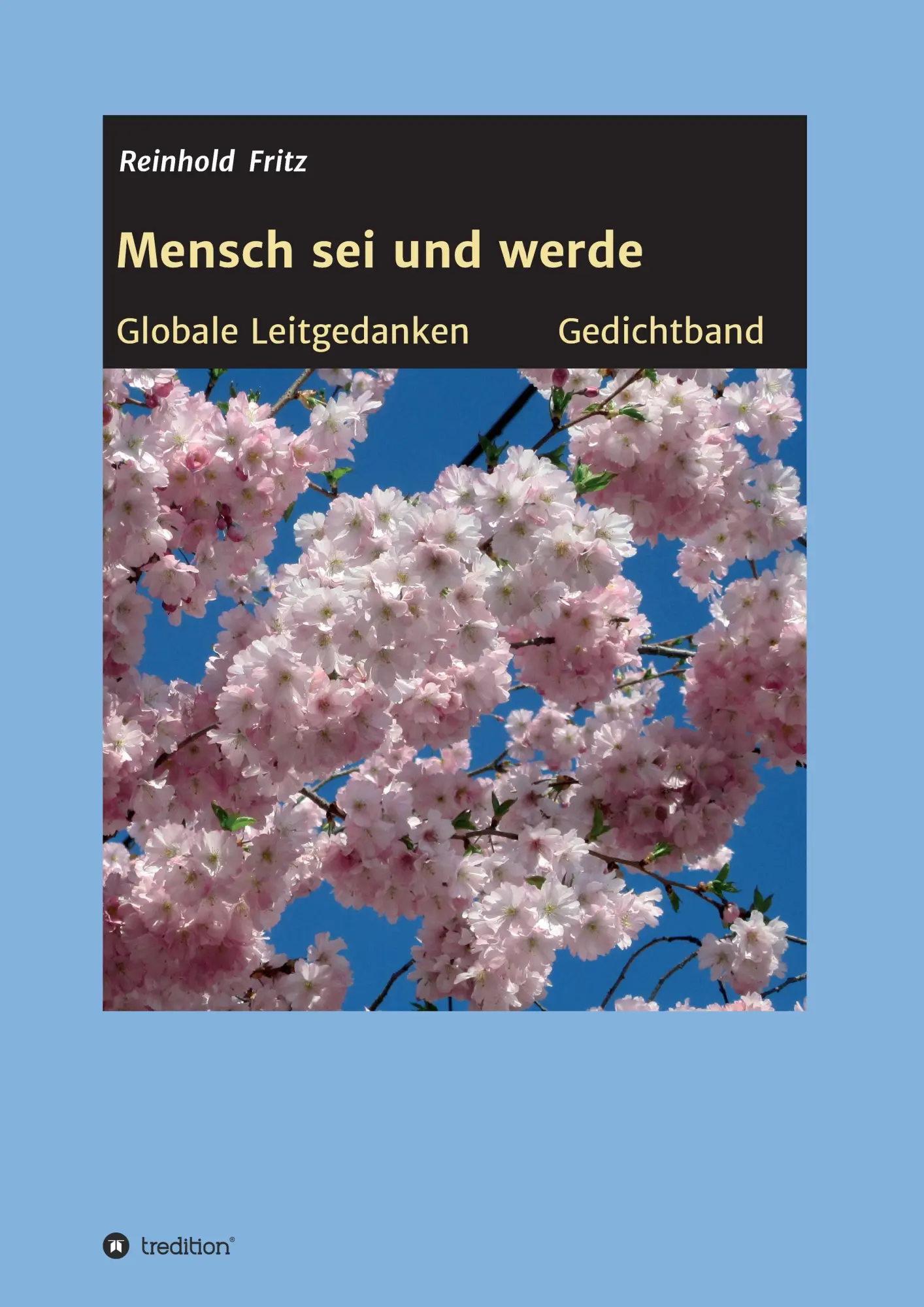 Mensch sei und werde - Reinhold Fritz Kartoniert (TB)