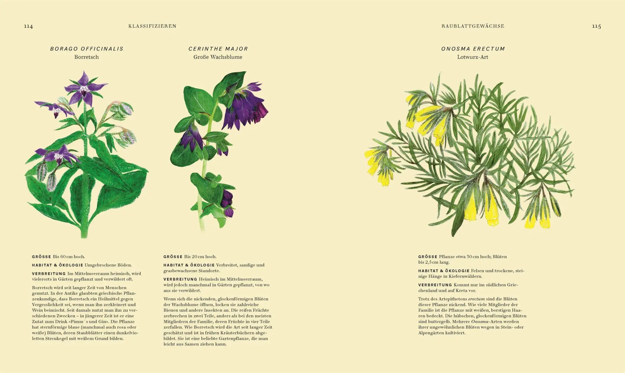 Bild: 9783831051977 | Wildpflanzen | Chris Thorogood | Buch | 288 S. | Deutsch | 2026