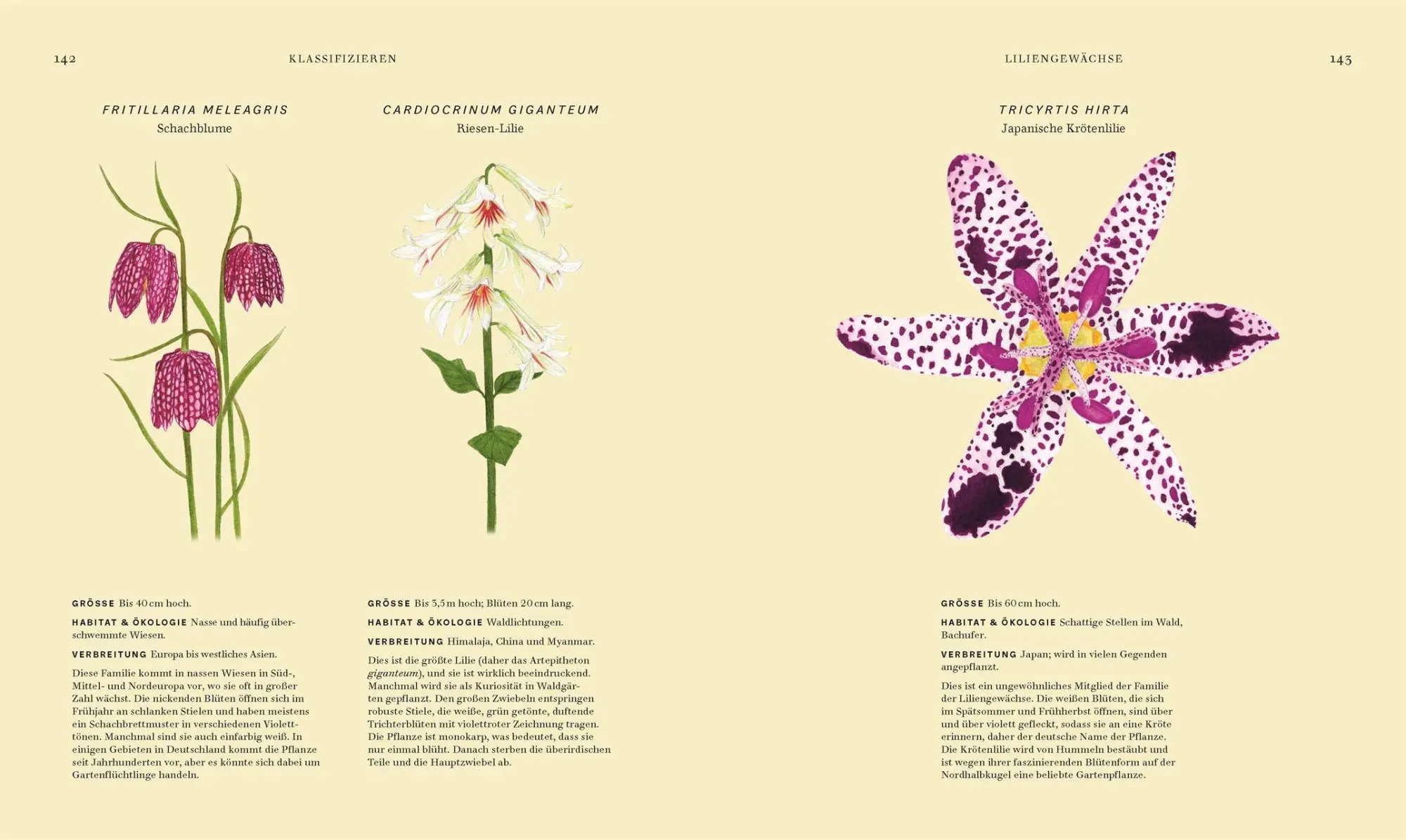 Bild: 9783831051977 | Wildpflanzen | Chris Thorogood | Buch | 288 S. | Deutsch | 2026