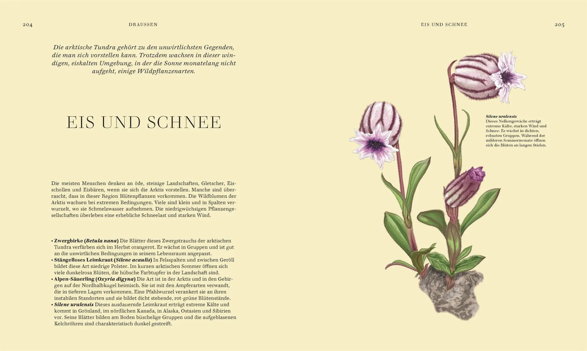 Bild: 9783831051977 | Wildpflanzen | Chris Thorogood | Buch | 288 S. | Deutsch | 2026