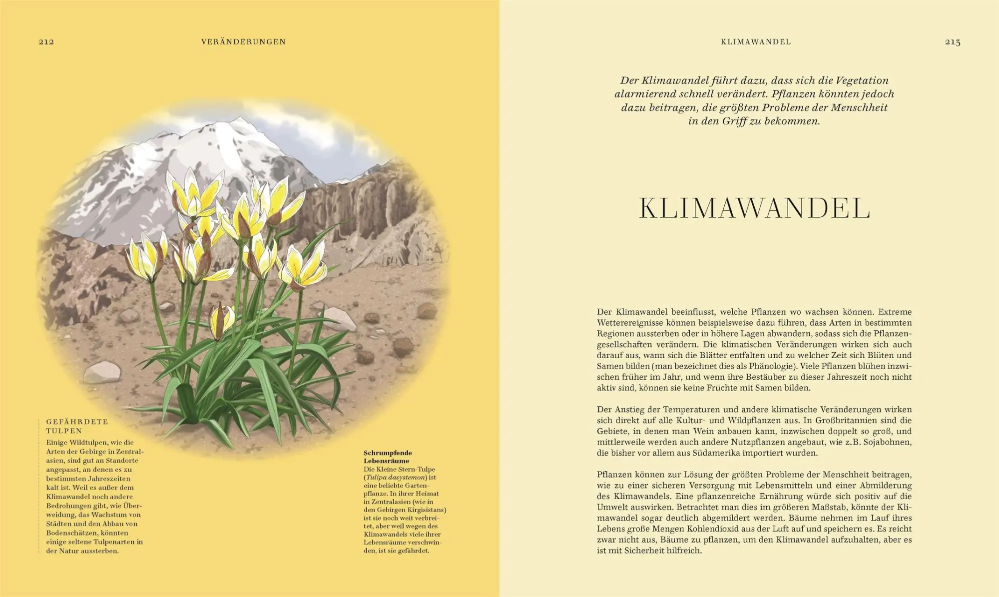 Bild: 9783831051977 | Wildpflanzen | Chris Thorogood | Buch | 288 S. | Deutsch | 2026