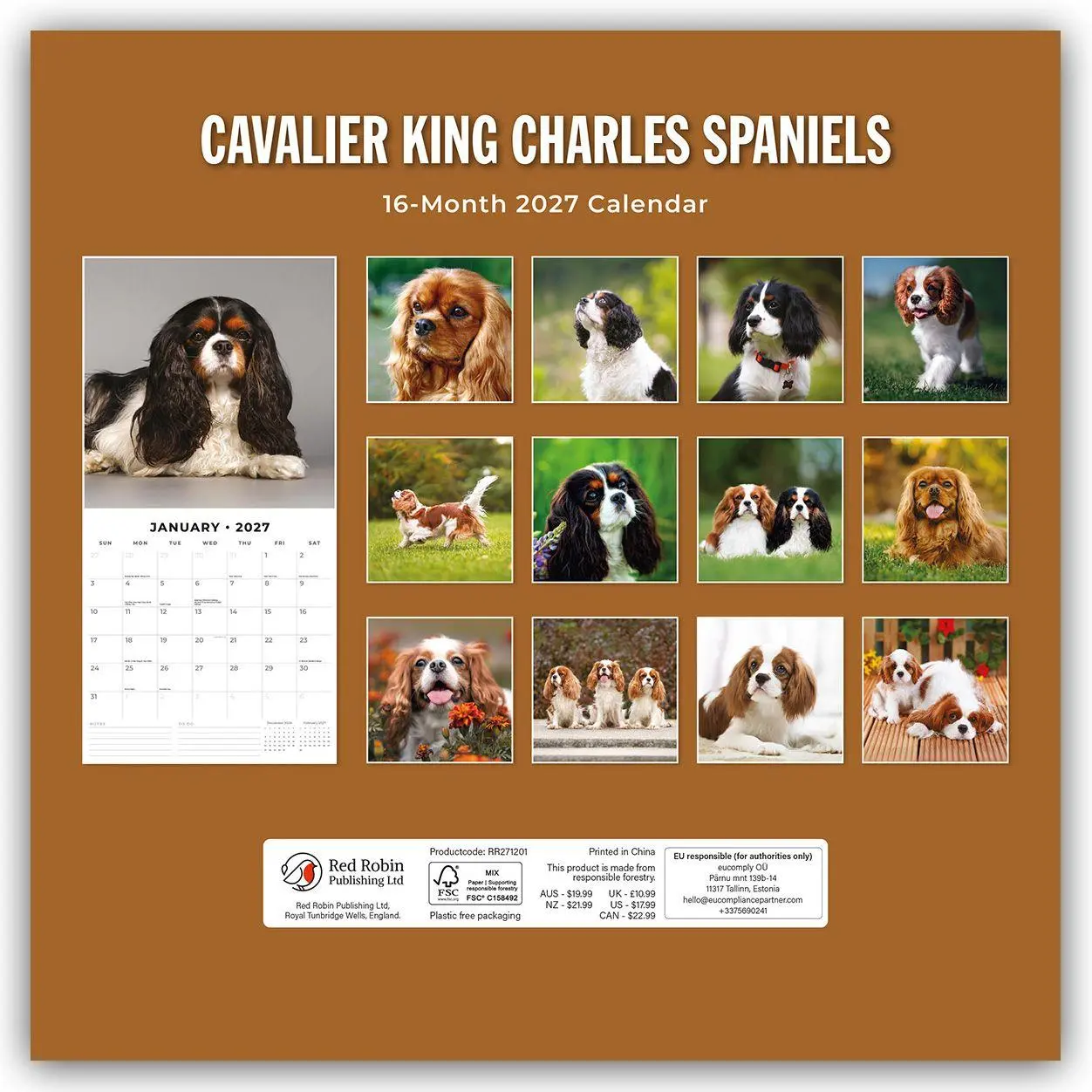 Rückseite: 9781837012077 | Cavalier King Charles Spaniels - Cavalier King Charles Spaniel 2027...