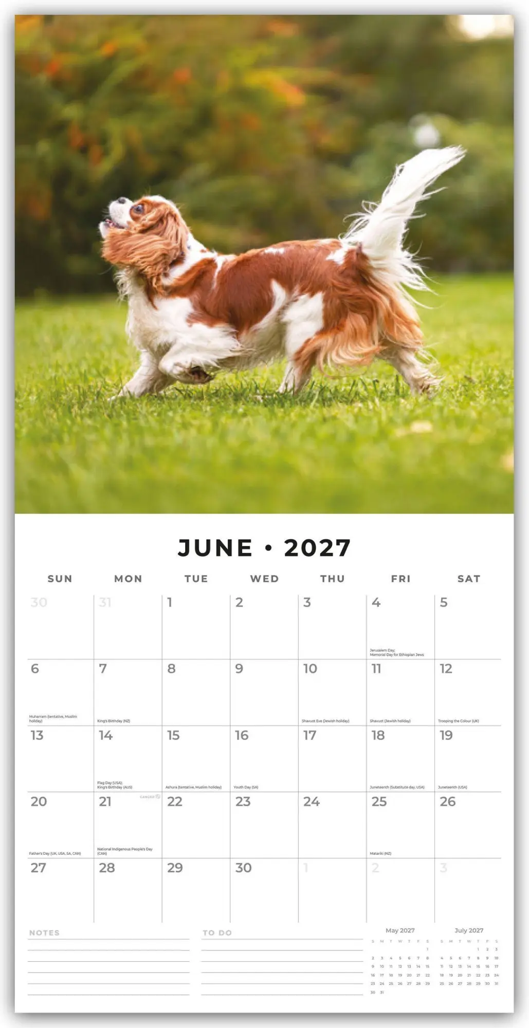 Bild: 9781837012077 | Cavalier King Charles Spaniels - Cavalier King Charles Spaniel 2027...