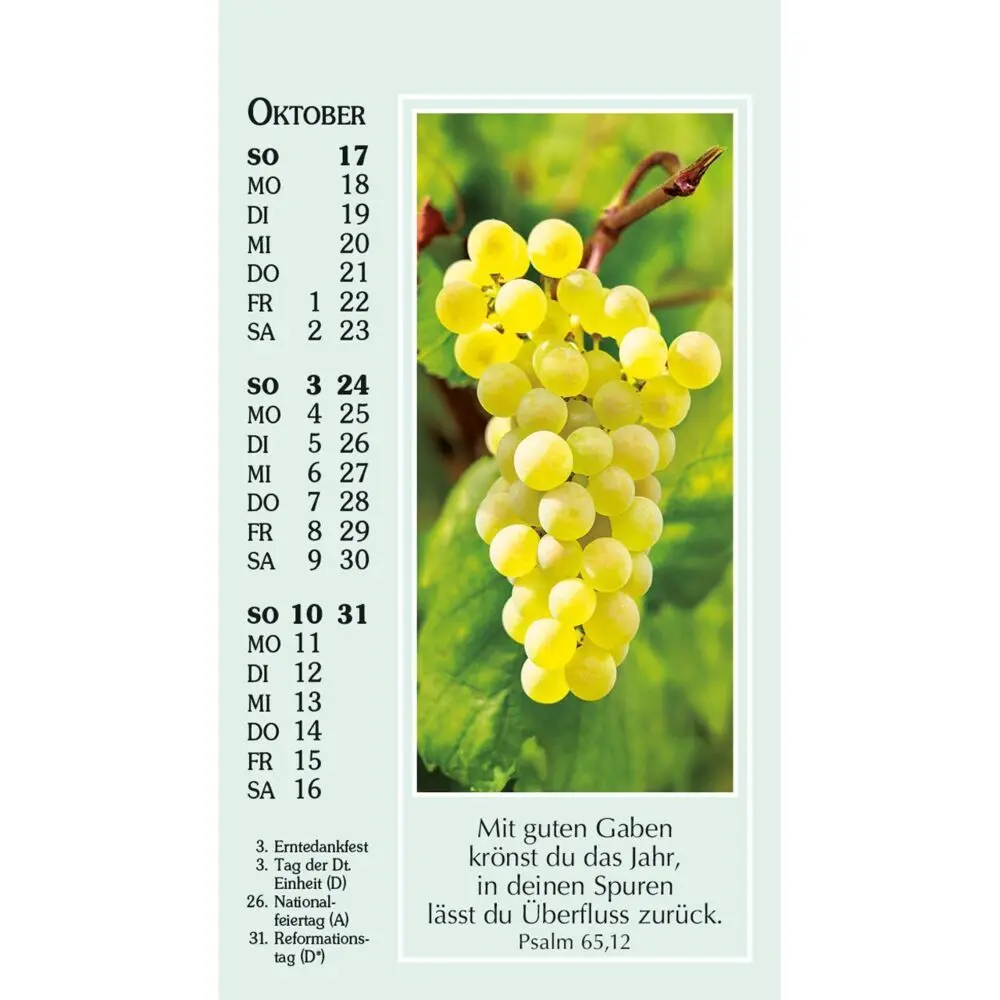 Bild: 9783754892077 | Sonne des Lebens 2027 | Mini-Kalender mit Bibelworten und Farbfotos