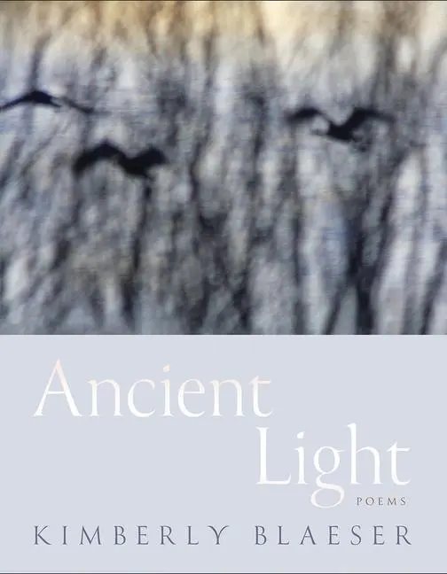 Cover: 9780816552177 | Ancient Light | Poems Volume 94 | Kimberly Blaeser | Taschenbuch
