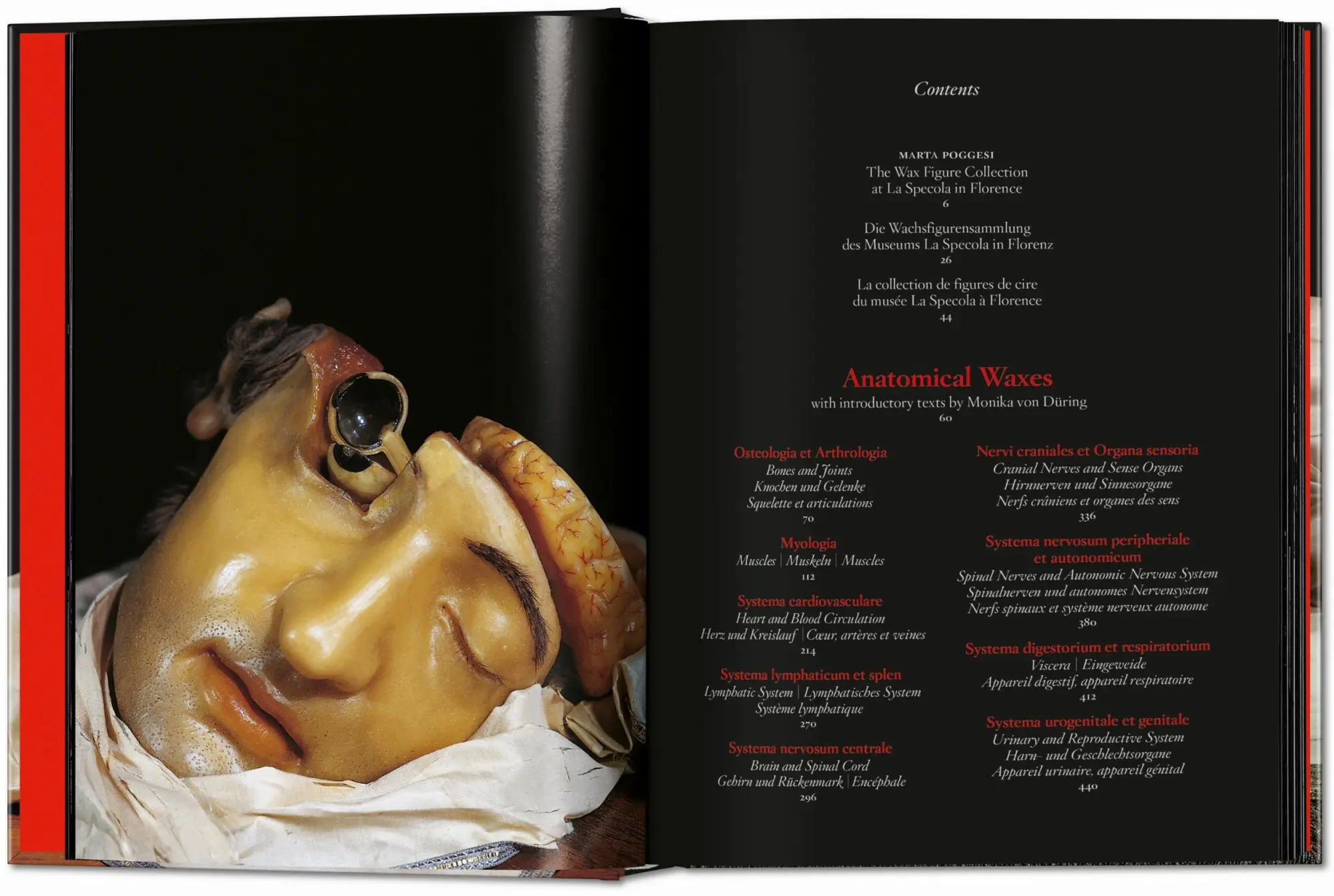 Bild: 9783754402177 | Anatomical Waxes | Marta Poggesi | Buch | 45th Edition | 512 S. | 2025
