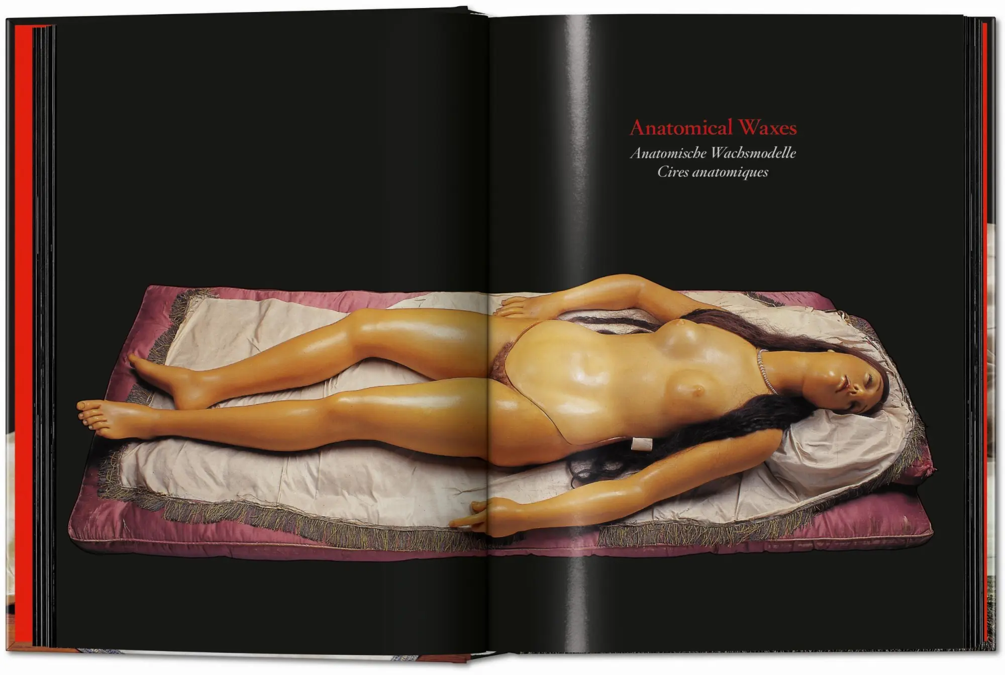 Bild: 9783754402177 | Anatomical Waxes | Marta Poggesi | Buch | 45th Edition | 512 S. | 2025