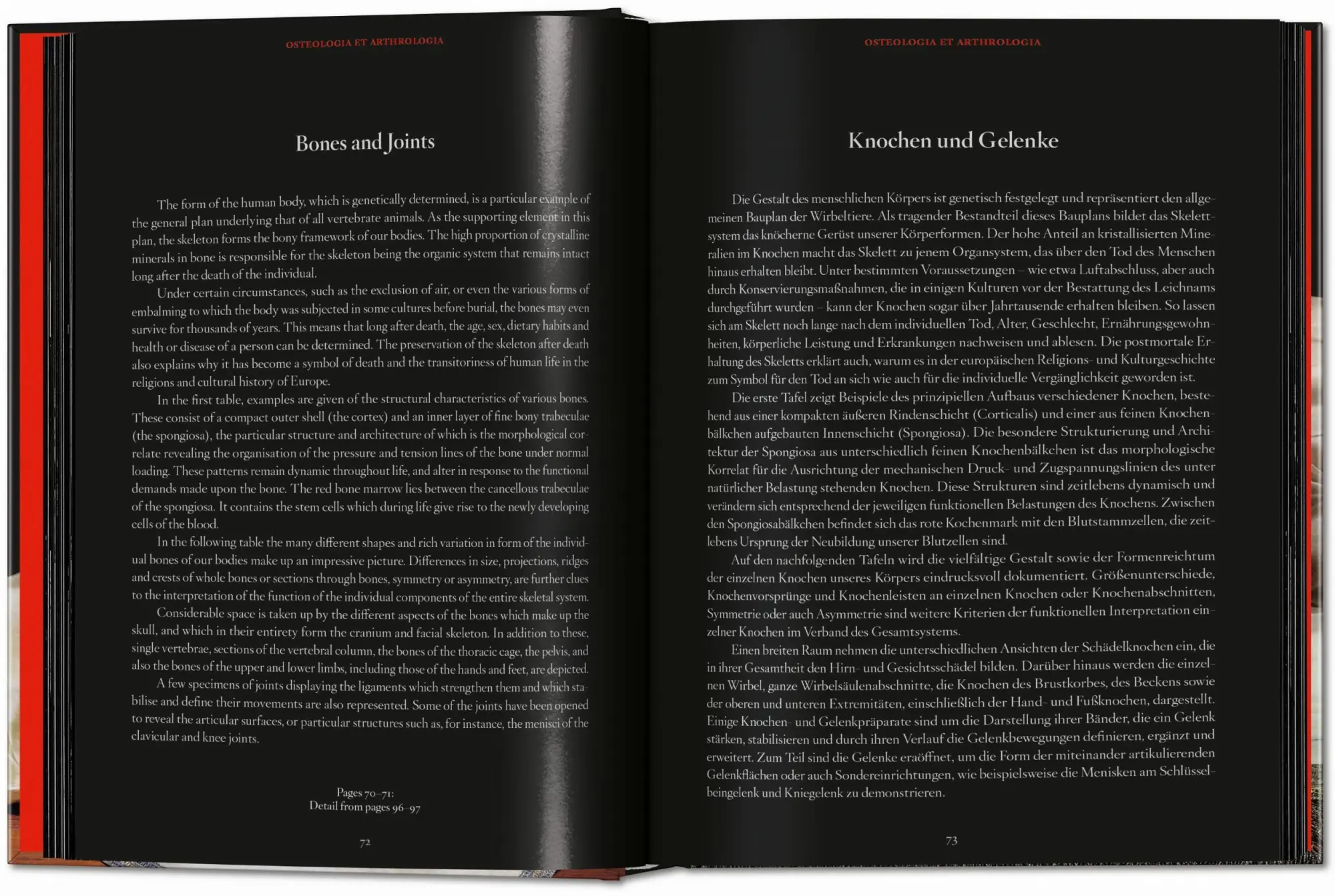 Bild: 9783754402177 | Anatomical Waxes | Marta Poggesi | Buch | 45th Edition | 512 S. | 2025