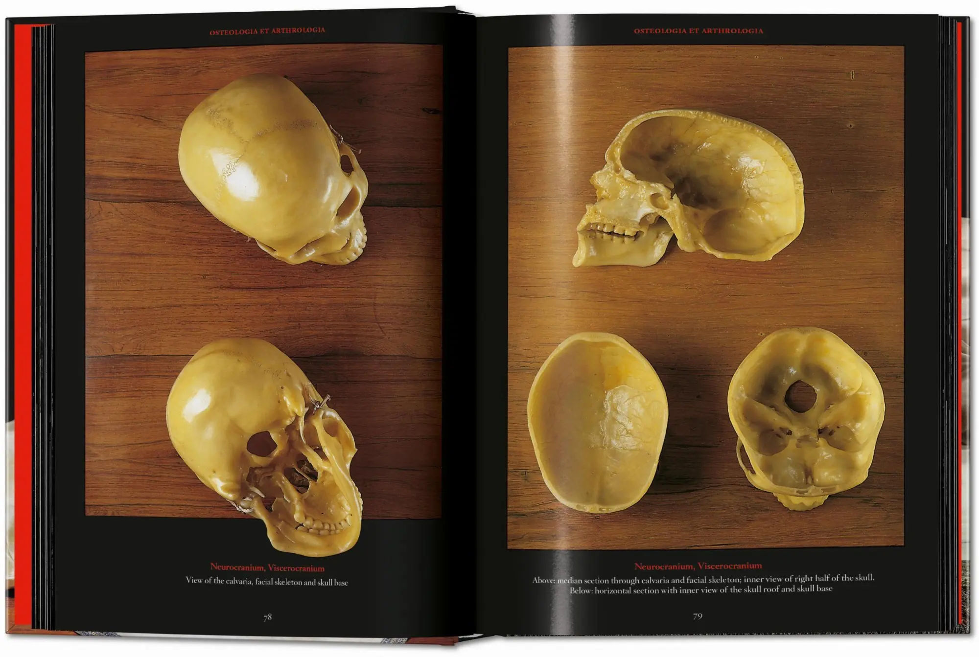 Bild: 9783754402177 | Anatomical Waxes | Marta Poggesi | Buch | 45th Edition | 512 S. | 2025