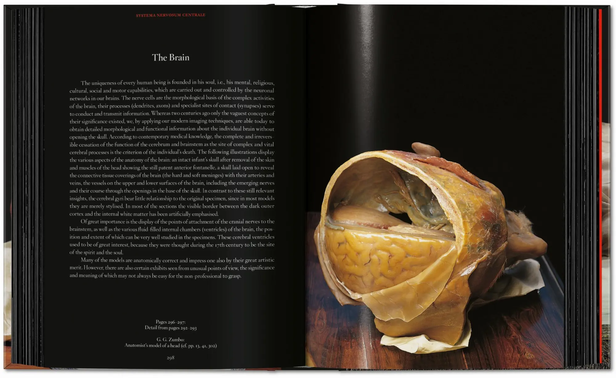 Bild: 9783754402177 | Anatomical Waxes | Marta Poggesi | Buch | 45th Edition | 512 S. | 2025