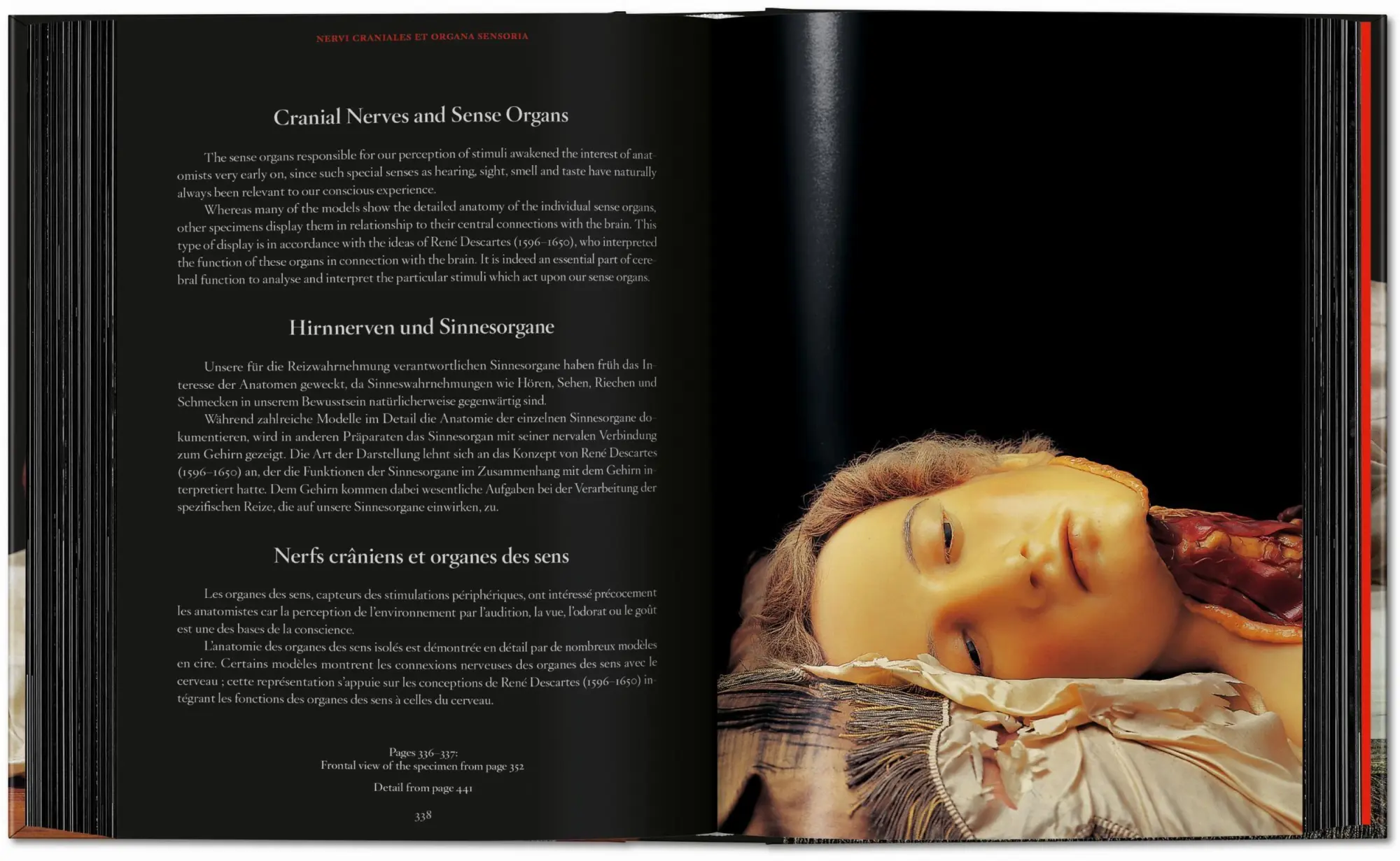 Bild: 9783754402177 | Anatomical Waxes | Marta Poggesi | Buch | 45th Edition | 512 S. | 2025