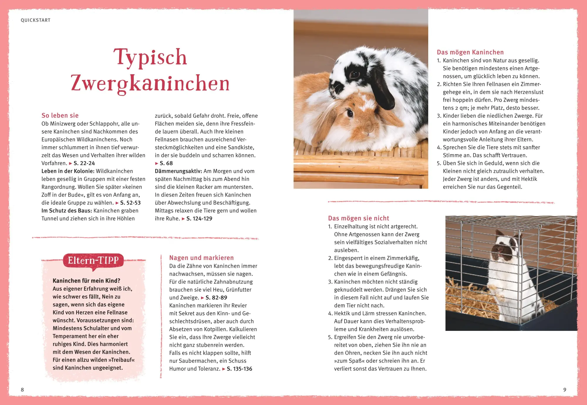 Bild: 9783833842177 | Liebenswerte Zwergkaninchen | Monika Wegler | Taschenbuch | 144 S.