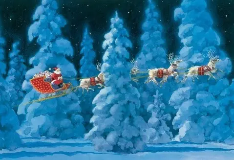 Cover: 9780735812277 | CAL ADVENT-TWAS THE NIGHT BEFO | Ted Rand | Kalender | Kalender | 2005