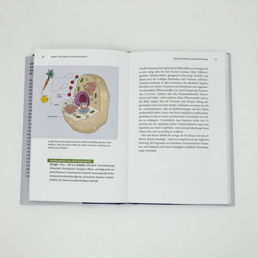 Bild: 9783423282277 | Unser erstaunliches Immunsystem | Marianne Koch | Buch | 208 S. | 2020