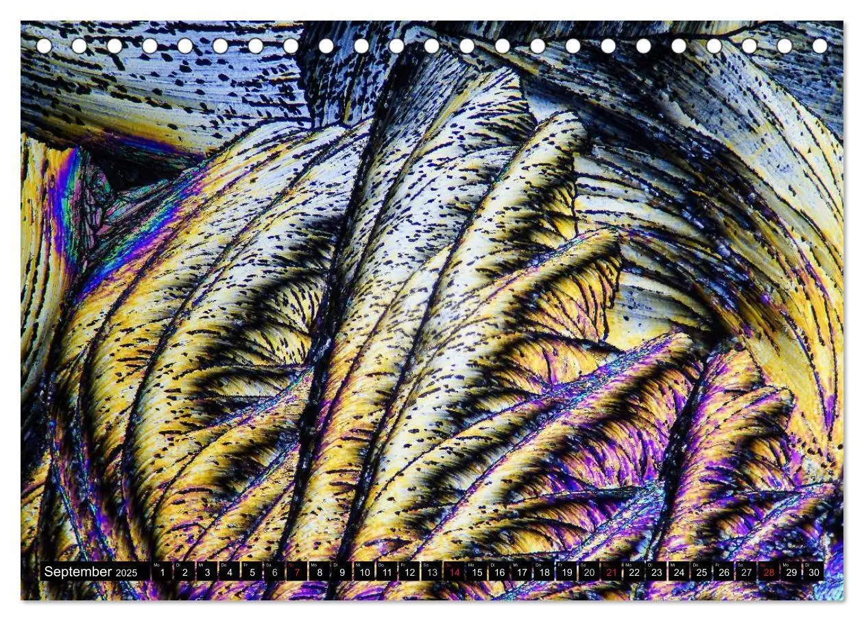 Bild: 9783435612277 | Mikrokristalle in polarisiertem Licht (Tischkalender 2025 DIN A5...