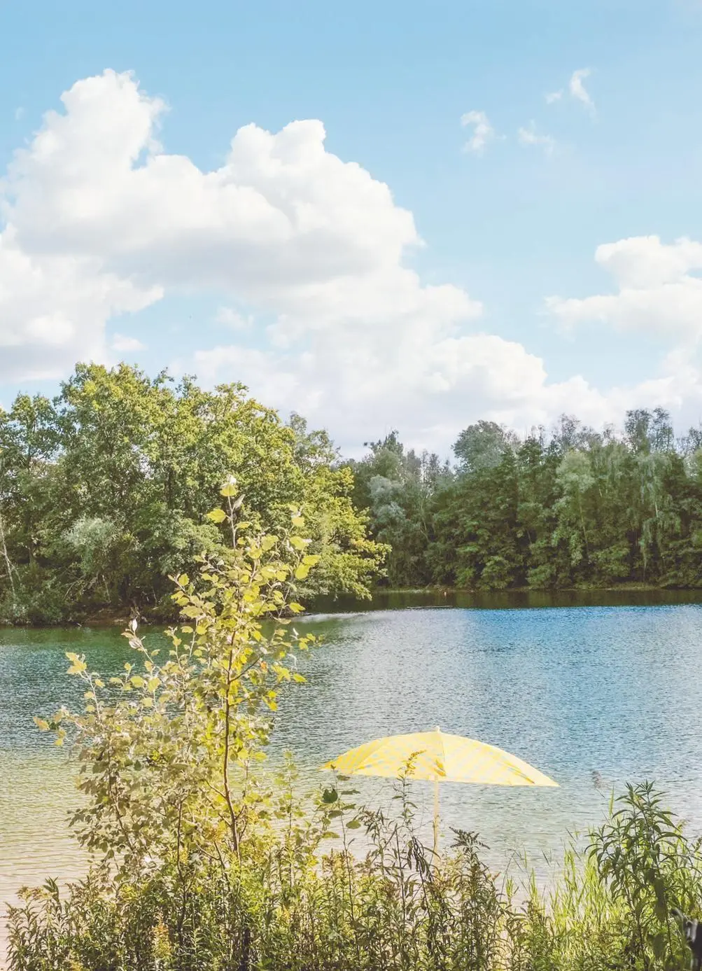 Bild: 9783758902277 | Von See zu See | Wandern auf dem 66-Seen-Weg rund um Berlin | Bialk