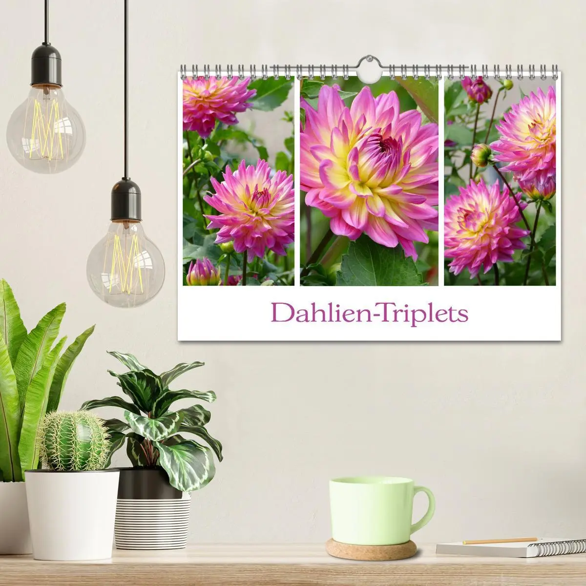 Bild: 9783457862377 | Dahlien-Triplets (Wandkalender 2026 DIN A4 quer), CALVENDO...