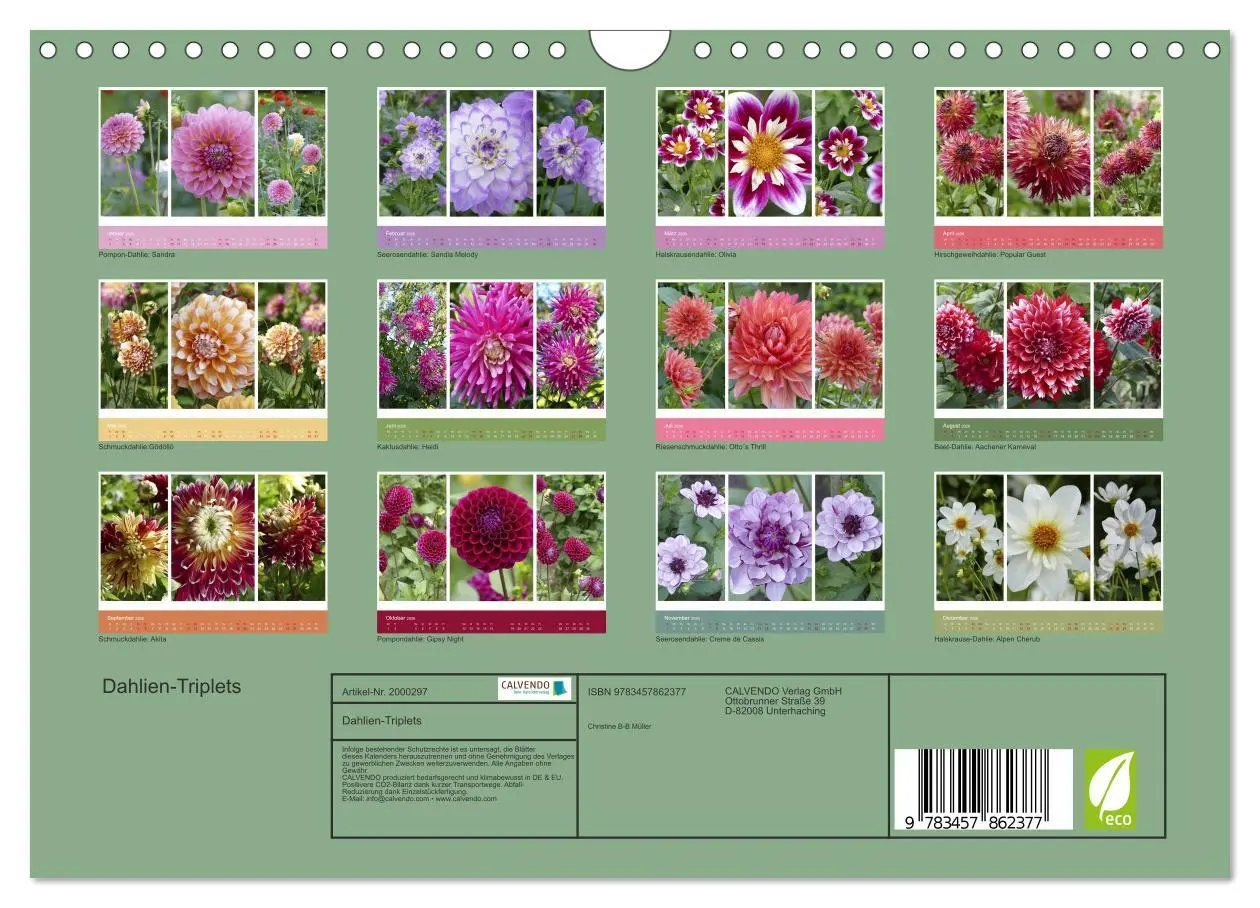 Bild: 9783457862377 | Dahlien-Triplets (Wandkalender 2026 DIN A4 quer), CALVENDO...