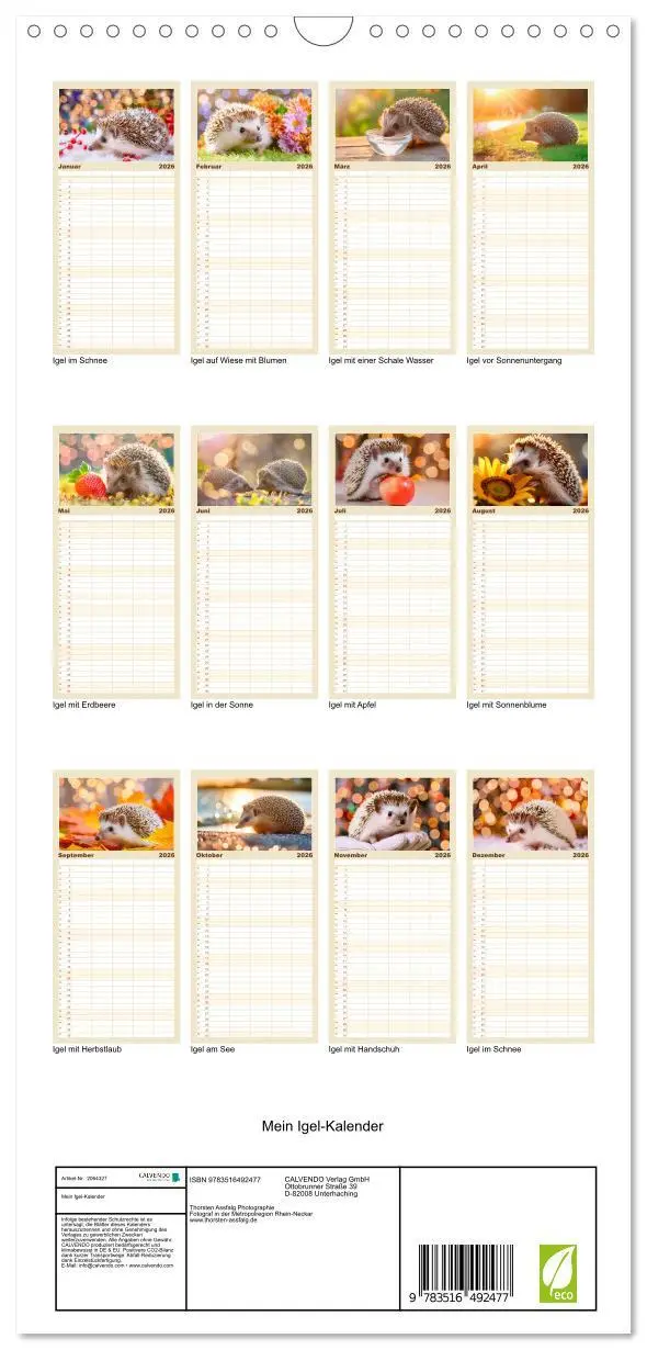 Bild: 9783516492477 | Familienplaner 2026 - Mein Igel-Kalender mit 5 Spalten...