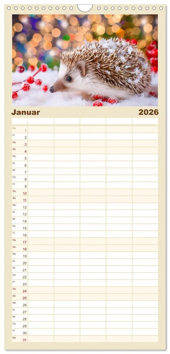 Bild: 9783516492477 | Familienplaner 2026 - Mein Igel-Kalender mit 5 Spalten...