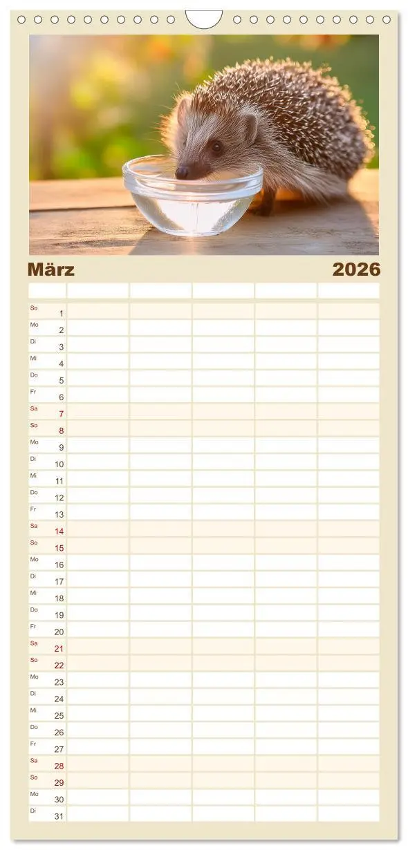 Bild: 9783516492477 | Familienplaner 2026 - Mein Igel-Kalender mit 5 Spalten...