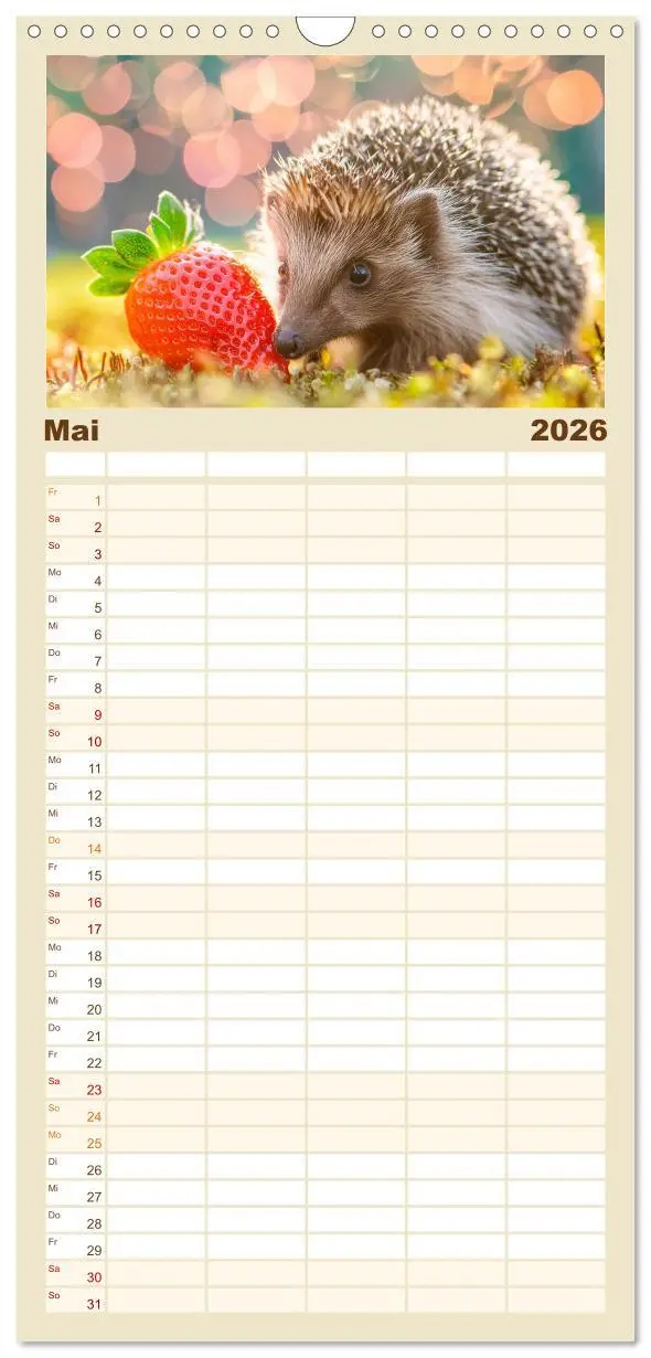 Bild: 9783516492477 | Familienplaner 2026 - Mein Igel-Kalender mit 5 Spalten...