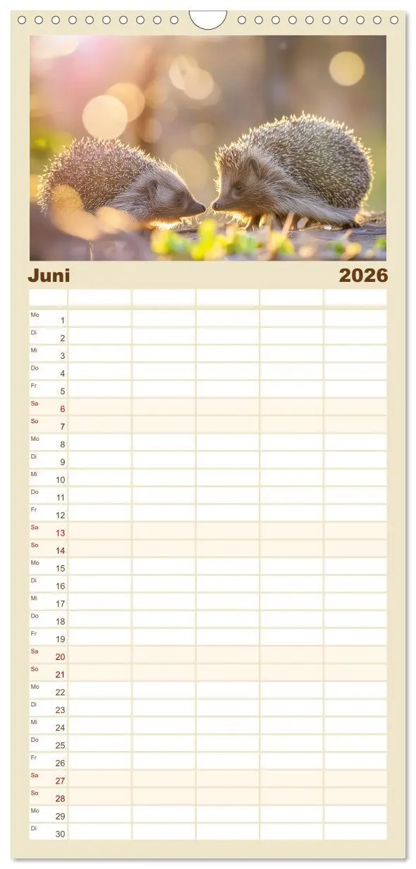 Bild: 9783516492477 | Familienplaner 2026 - Mein Igel-Kalender mit 5 Spalten...