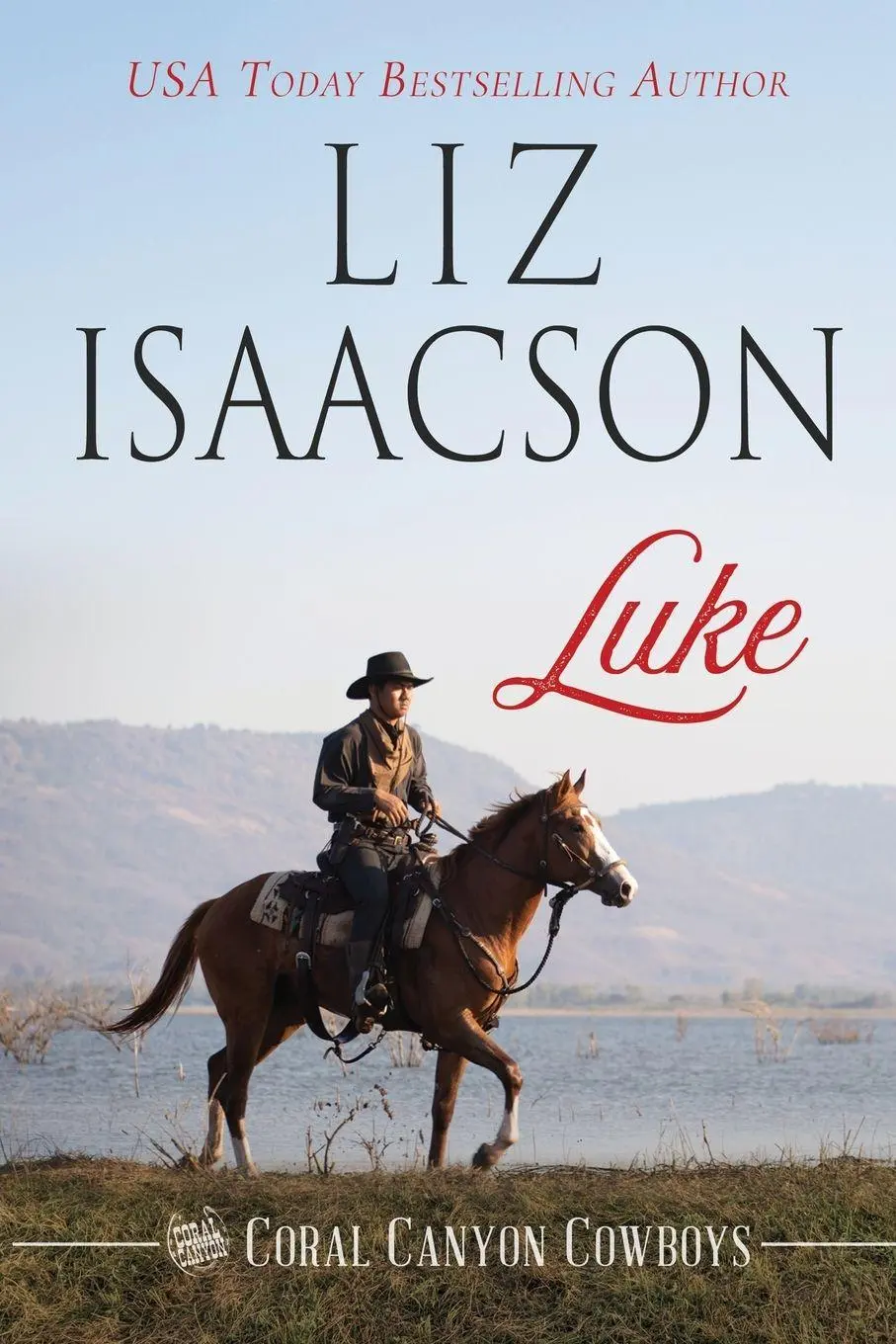 Cover: 9781638762577 | Luke | A Young Brothers Novel | Liz Isaacson | Taschenbuch | Englisch