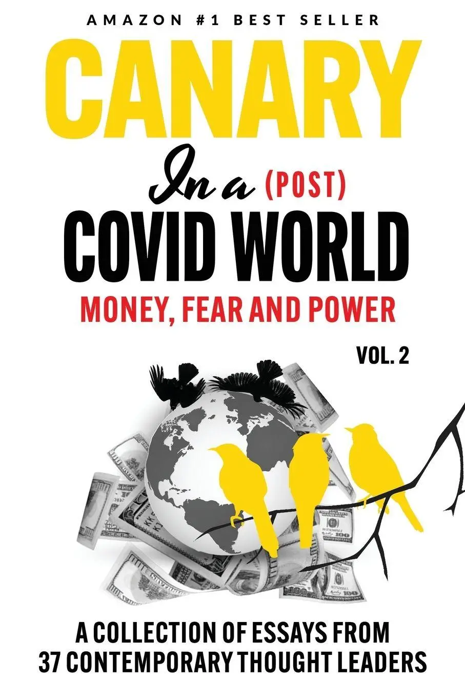 Cover: 9781739052577 | Canary In a (Post) Covid World | Money, Fear and Power | Taschenbuch