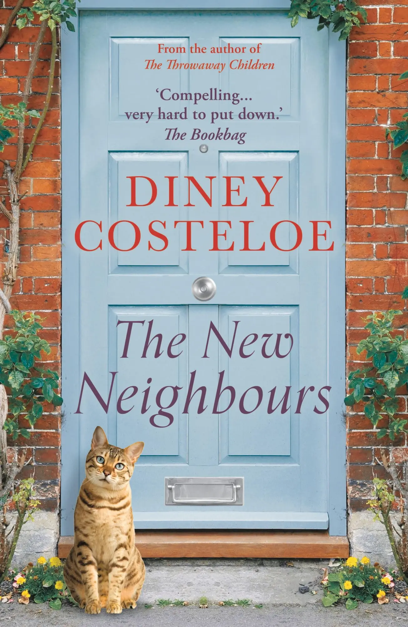 Cover: 9781784972677 | The New Neighbours | Diney Costeloe | Taschenbuch | Englisch | 2017