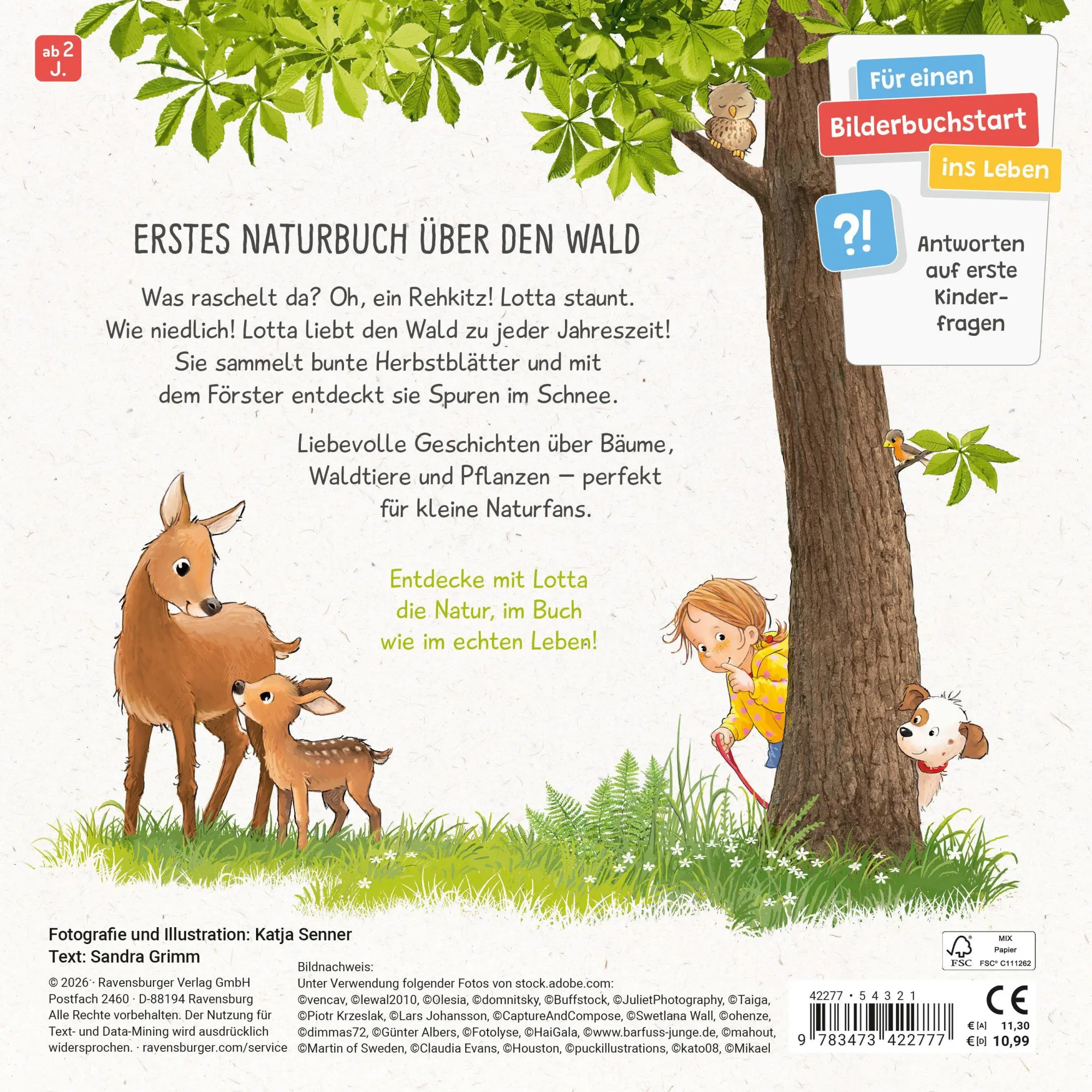 Bild: 9783473422777 | Lotta liebt den Wald | Sandra Grimm | Buch | 24 S. | Deutsch | 2026