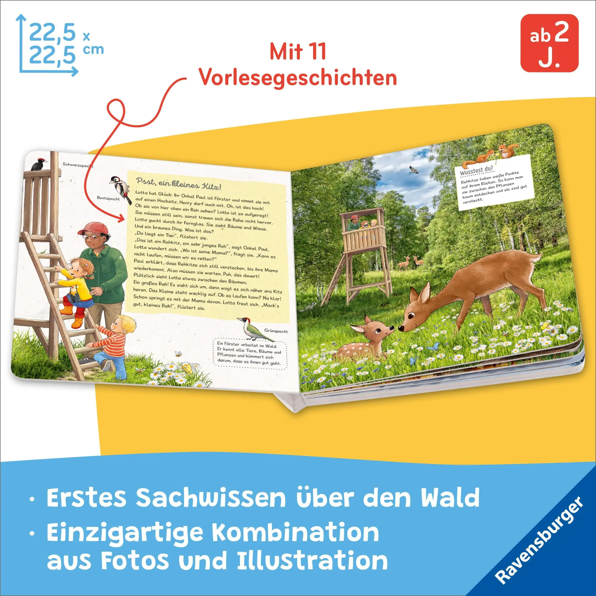 Bild: 9783473422777 | Lotta liebt den Wald | Sandra Grimm | Buch | 24 S. | Deutsch | 2026