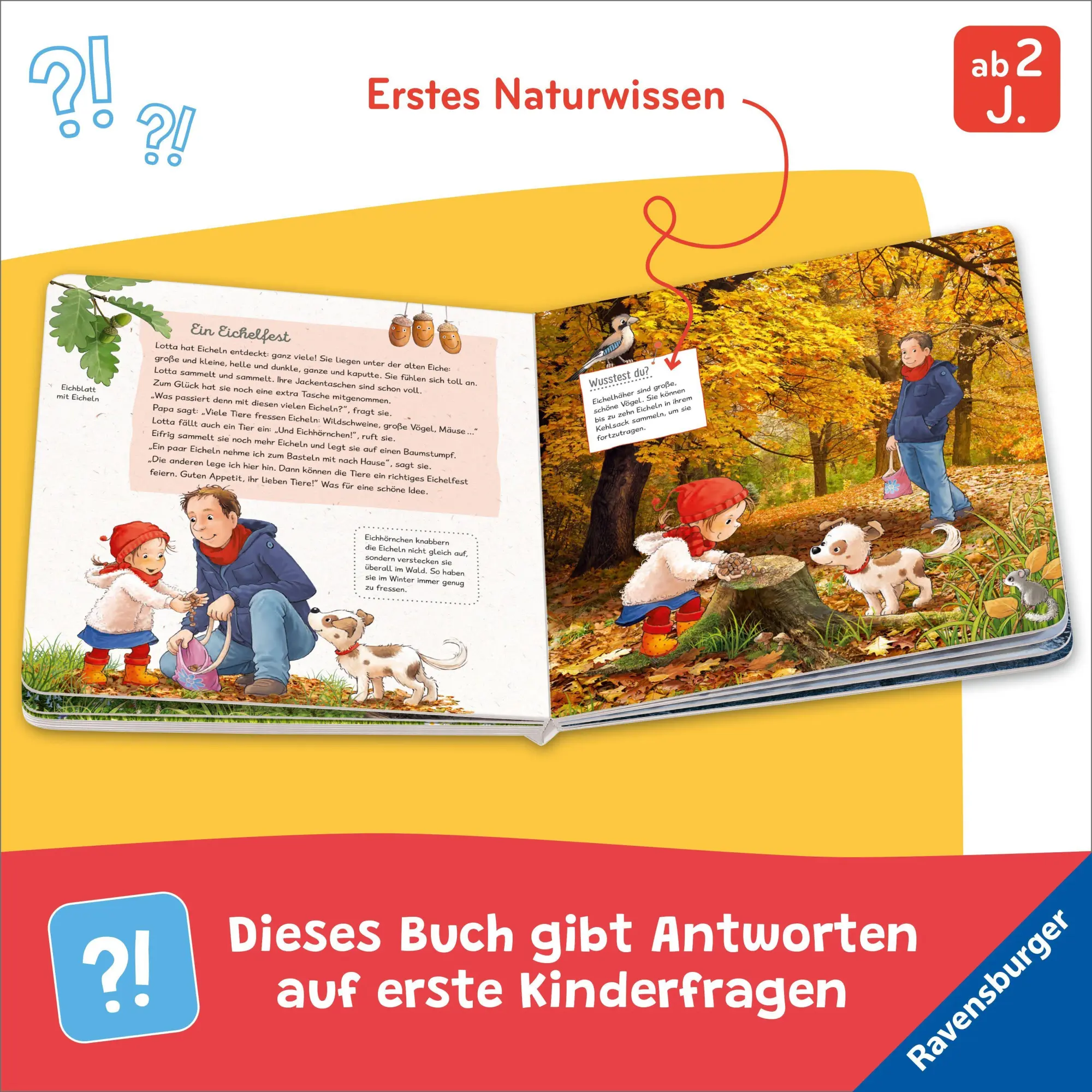 Bild: 9783473422777 | Lotta liebt den Wald | Sandra Grimm | Buch | 24 S. | Deutsch | 2026