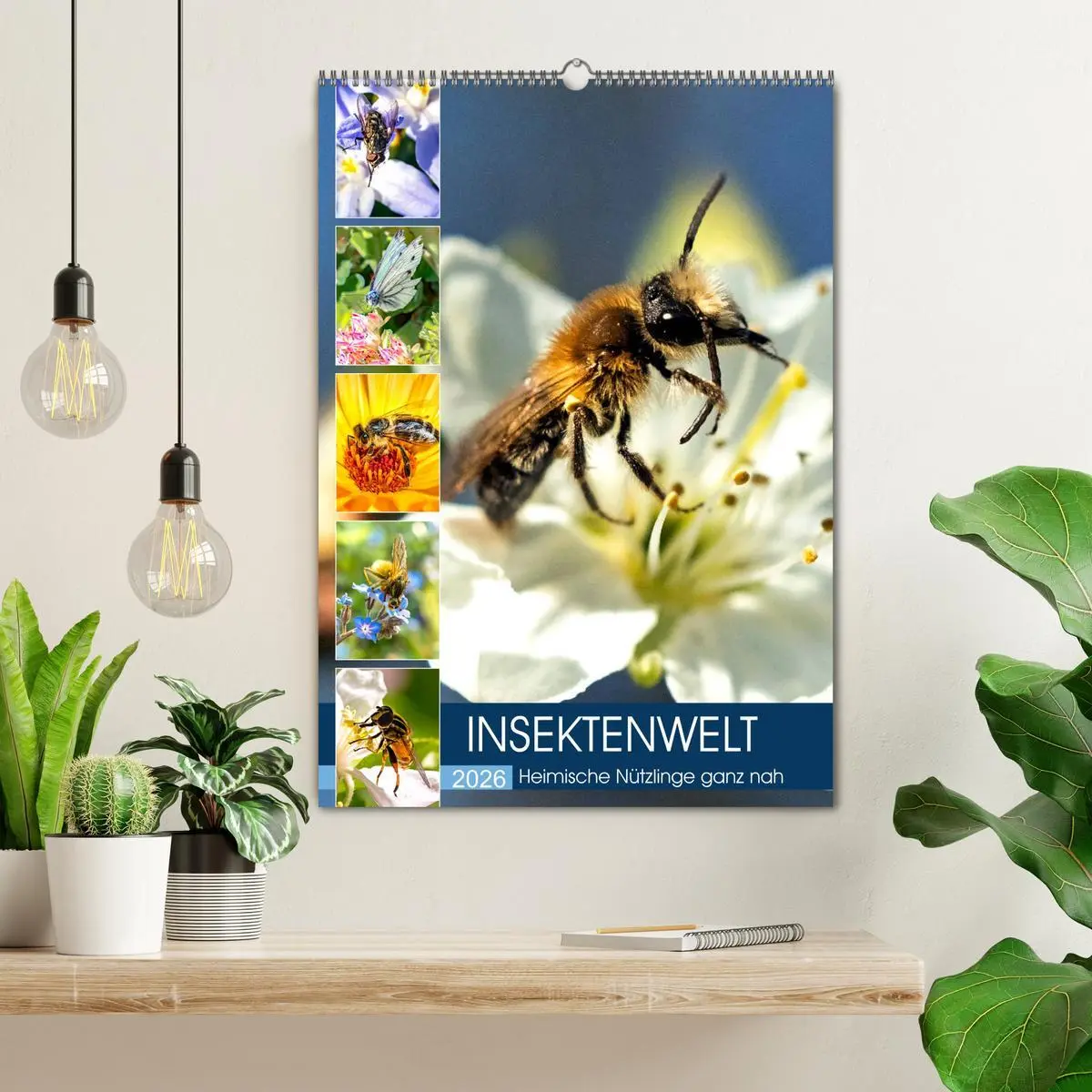 Bild: 9783516392777 | INSEKTENWELT - Heimische Nützlinge ganz nah (Wandkalender 2026 DIN...