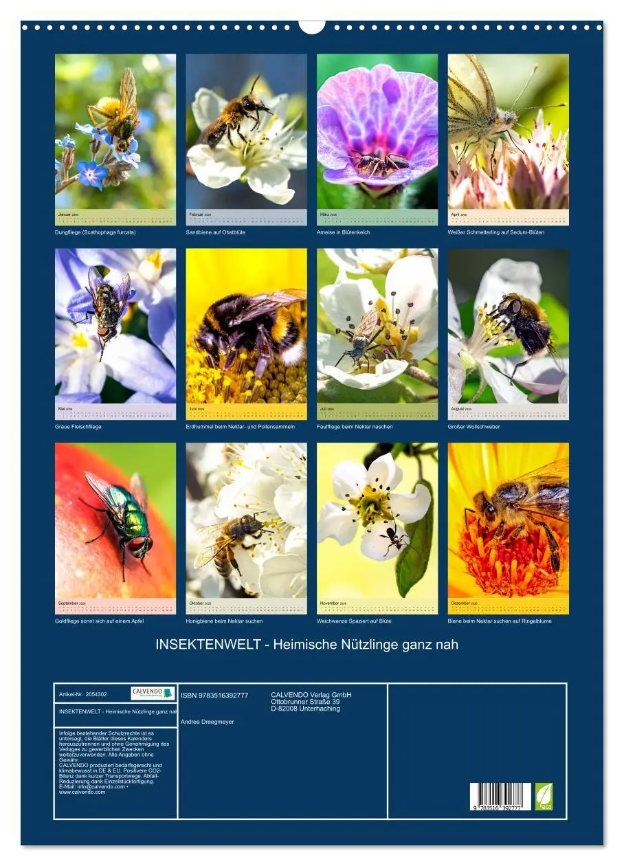 Bild: 9783516392777 | INSEKTENWELT - Heimische Nützlinge ganz nah (Wandkalender 2026 DIN...