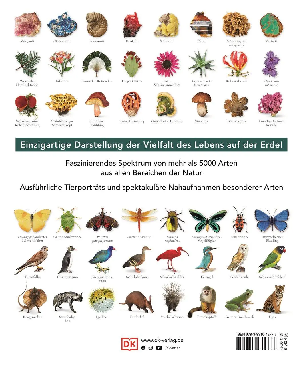 Rückseite: 9783831042777 | Die Natur in über 5000 Fotos | David Burnie | Buch | 664 S. | Deutsch