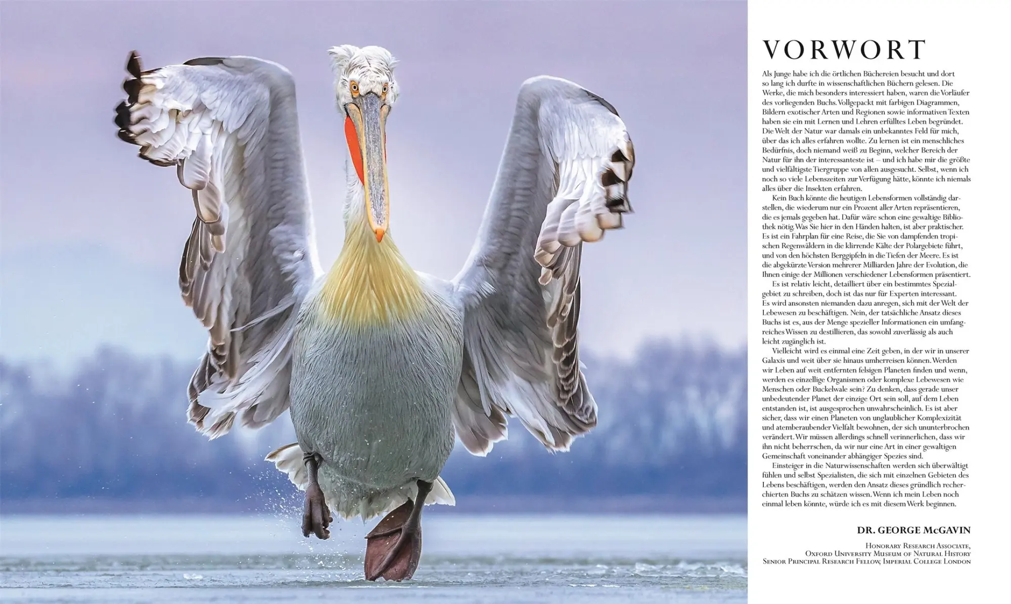 Bild: 9783831042777 | Die Natur in über 5000 Fotos | David Burnie | Buch | 664 S. | Deutsch