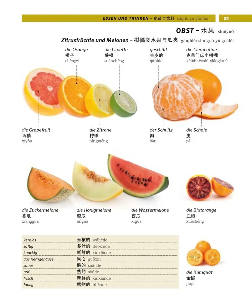 Bild: 9783125162877 | PONS Bildwörterbuch Chinesisch | Taschenbuch | PONS Bildwörterbuch