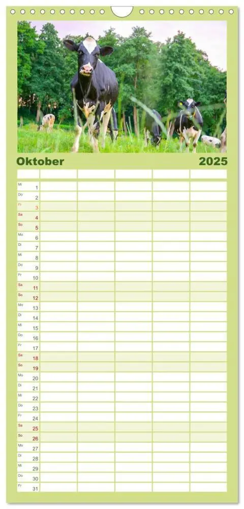 Bild: 9783457122877 | Familienplaner 2025 - Sanfte Holsteiner mit 5 Spalten...