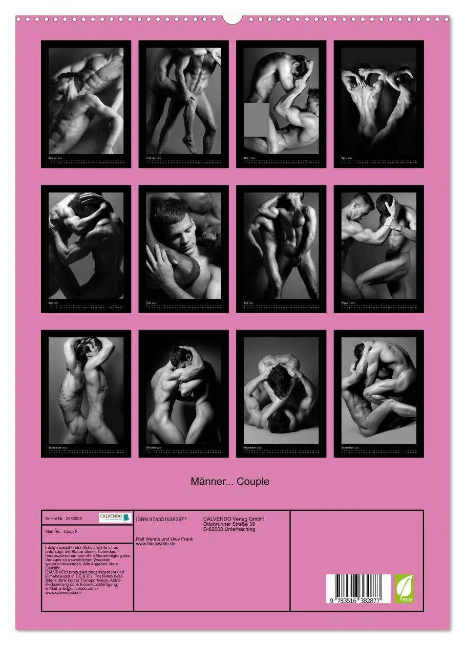 Bild: 9783516382877 | Männer... Couple (hochwertiger Premium Wandkalender 2026 DIN A2...